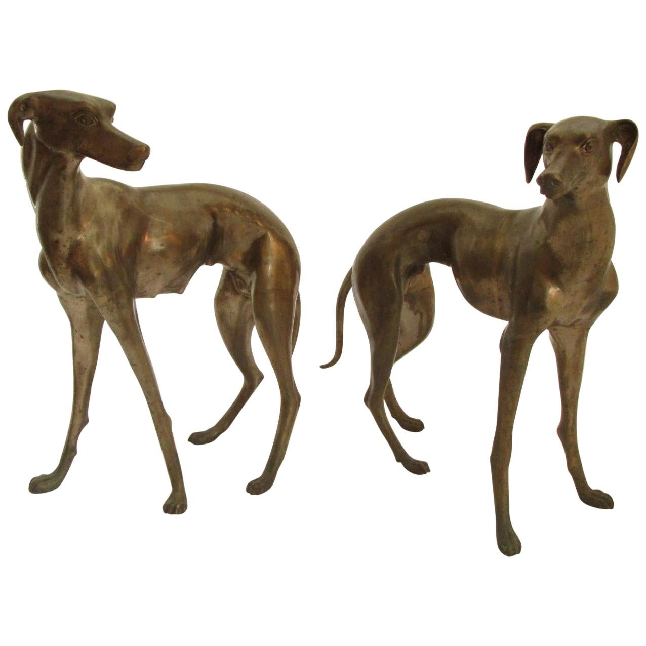 Italian Bronze Greyhounds