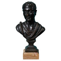 Italian Bronze Neoclassical Grand Tour Bust
