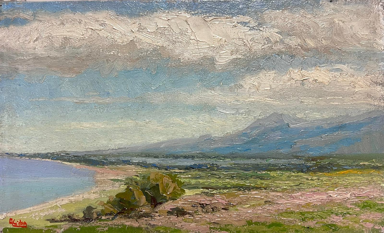 The Italian Coastline
Italian School, circa 1900's
indistinctly signed
signed oil on canvas, unframed
canvas : 10 x 16 inches
provenance: private collection
condition: very good and sound condition