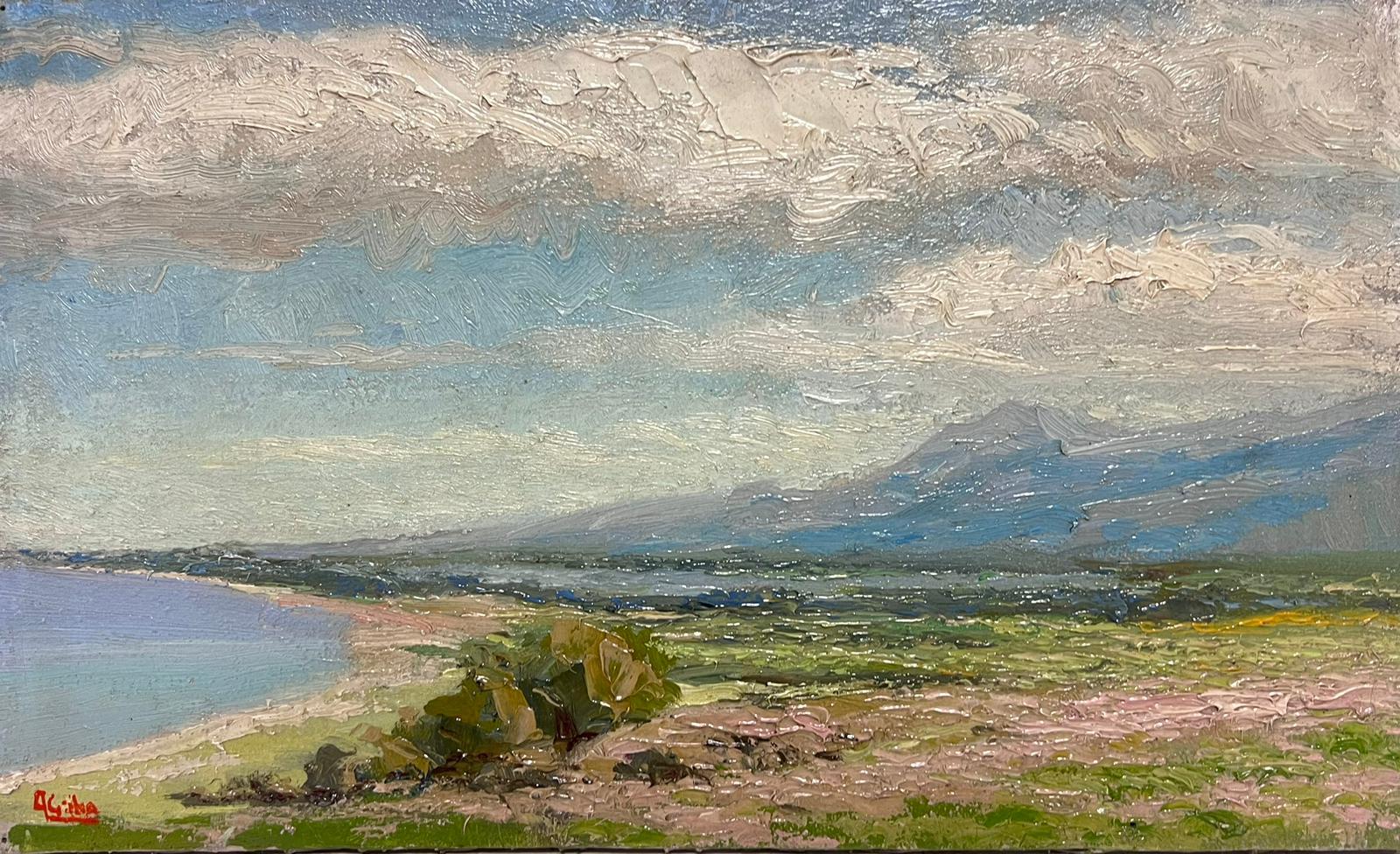 Italian c. 1900's Landscape Painting - Antique Italian Impressionist Signed Oil Painting Coastal Beach Scene & Mountain