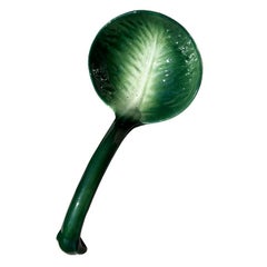 Soupière italienne avec couvercle à motifs végétaux et louche de service