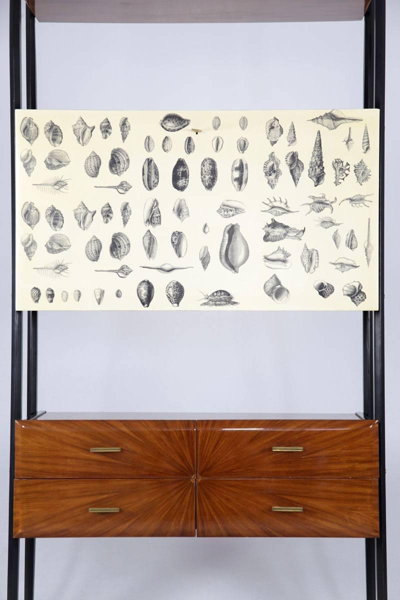 Italian Cabinet with Shell Decorations, 1950s 3