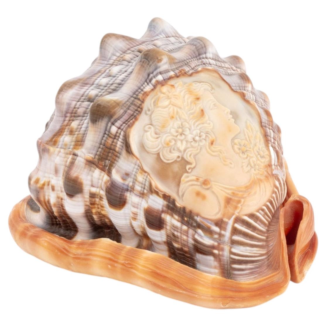 Italian Cameo Carved Conch Shell