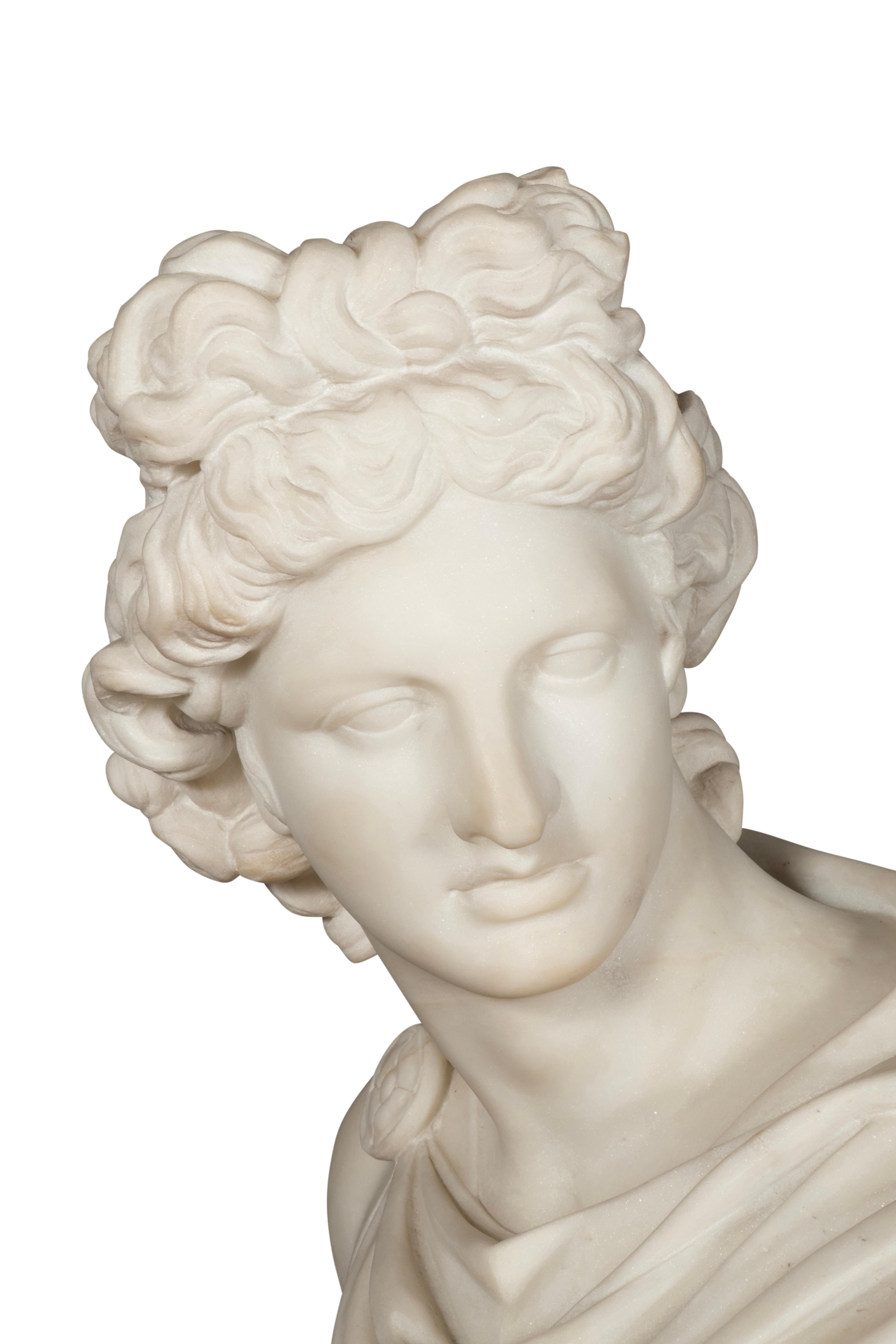 Busto italiano de mármol de Carrara de Apolo Belvedere en Bueno estado para la venta en Essex, MA