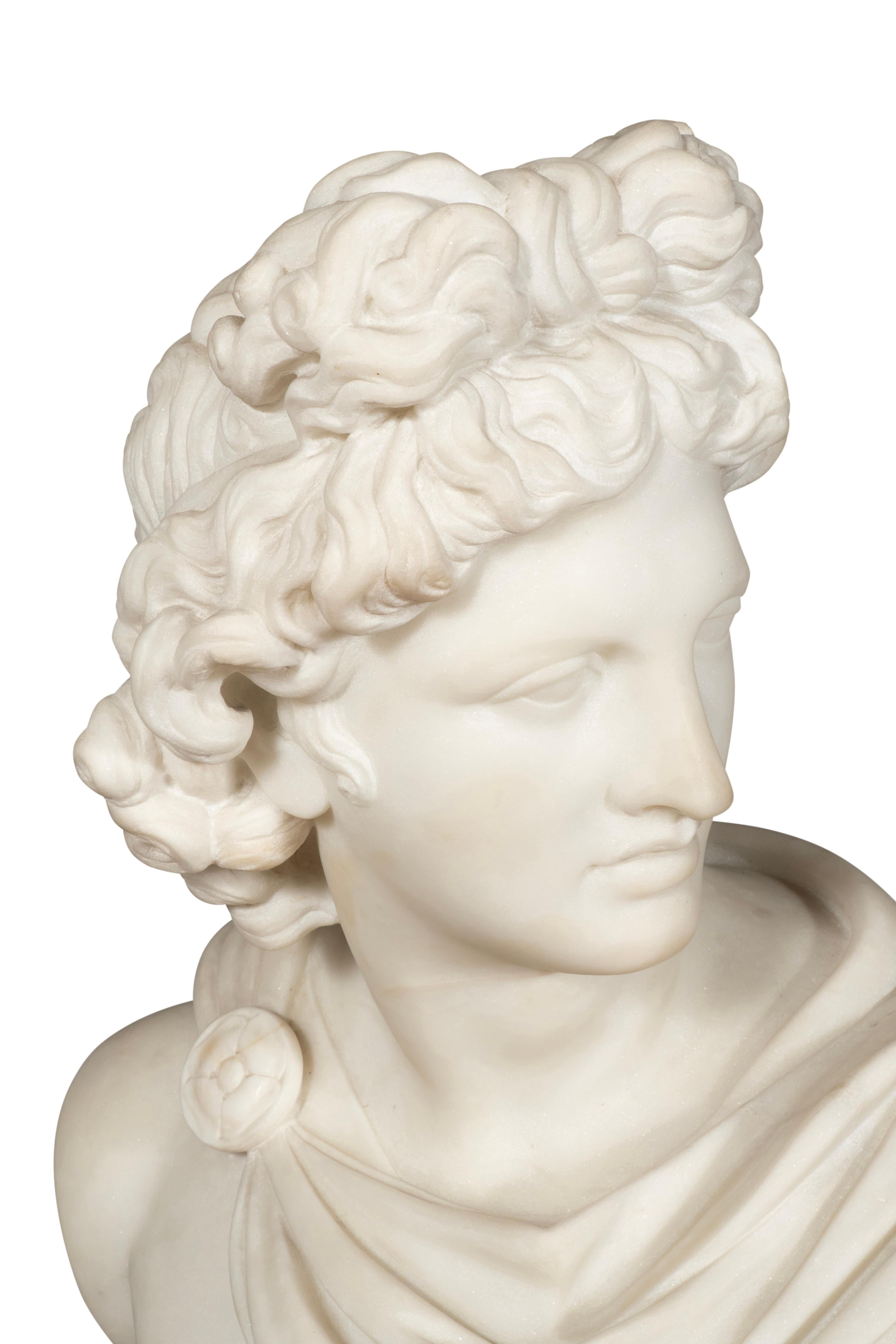 Busto italiano de mármol de Carrara de Apolo Belvedere siglo XIX en venta