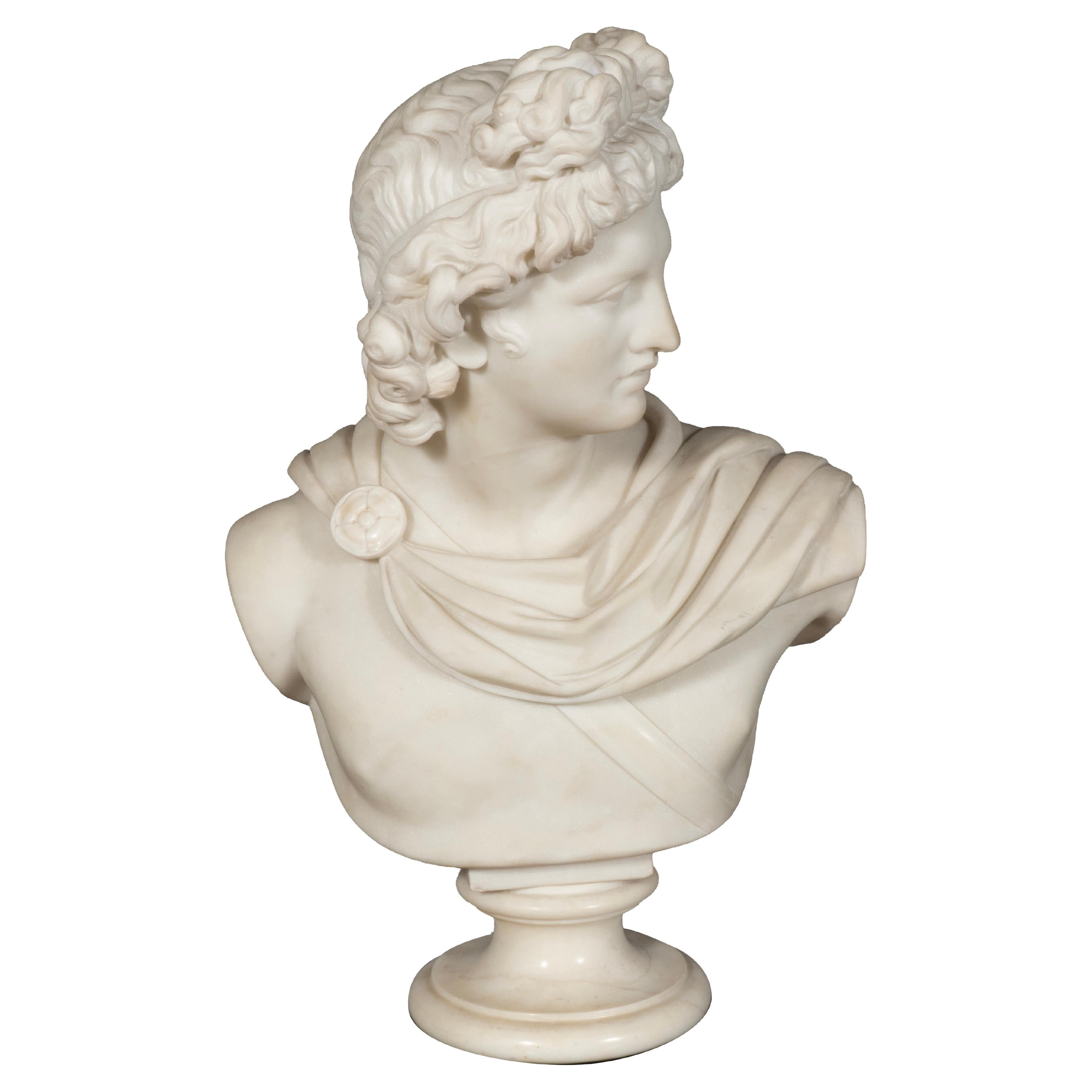 Italian Carrara Marble Bust Of The Apollo Belvedere
