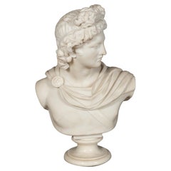 Italian Carrara Marble Bust Of The Apollo Belvedere