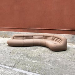 Italian Carrera Sofa by De Pas D'urbino and Lomazzi for BBB Bonacina, 1969