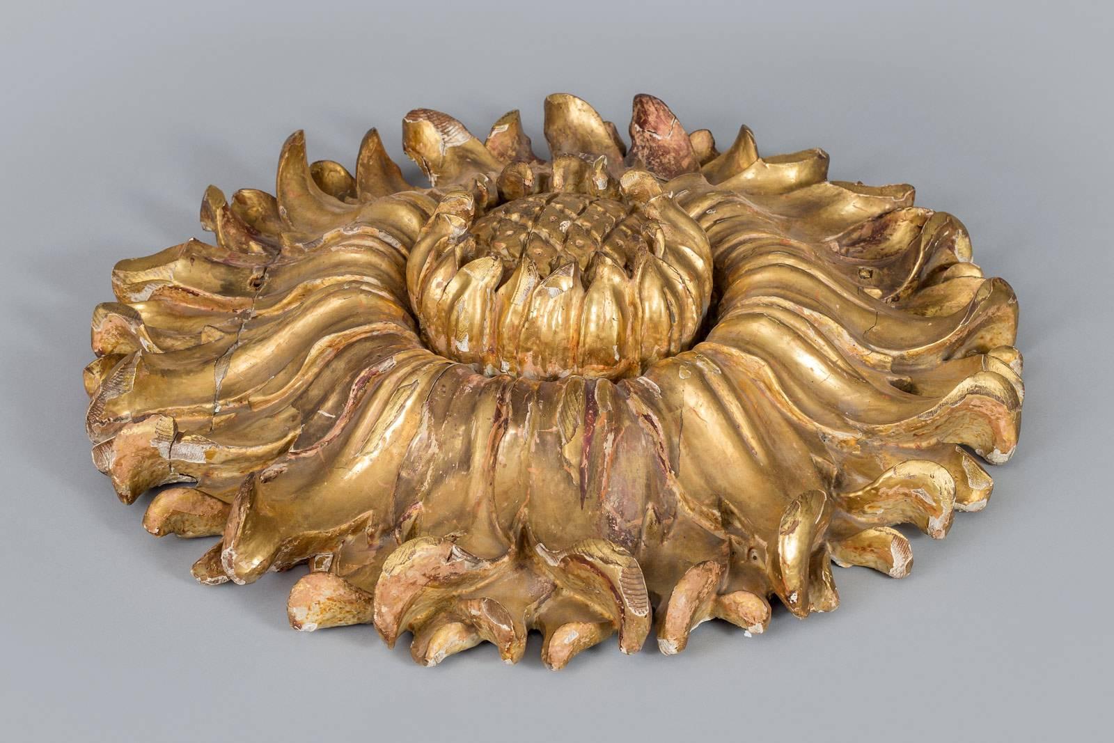 Italian 18th century carved and gilded sculpture in the form of a sunflower. Can be used as a ceiling rosette or medallion.