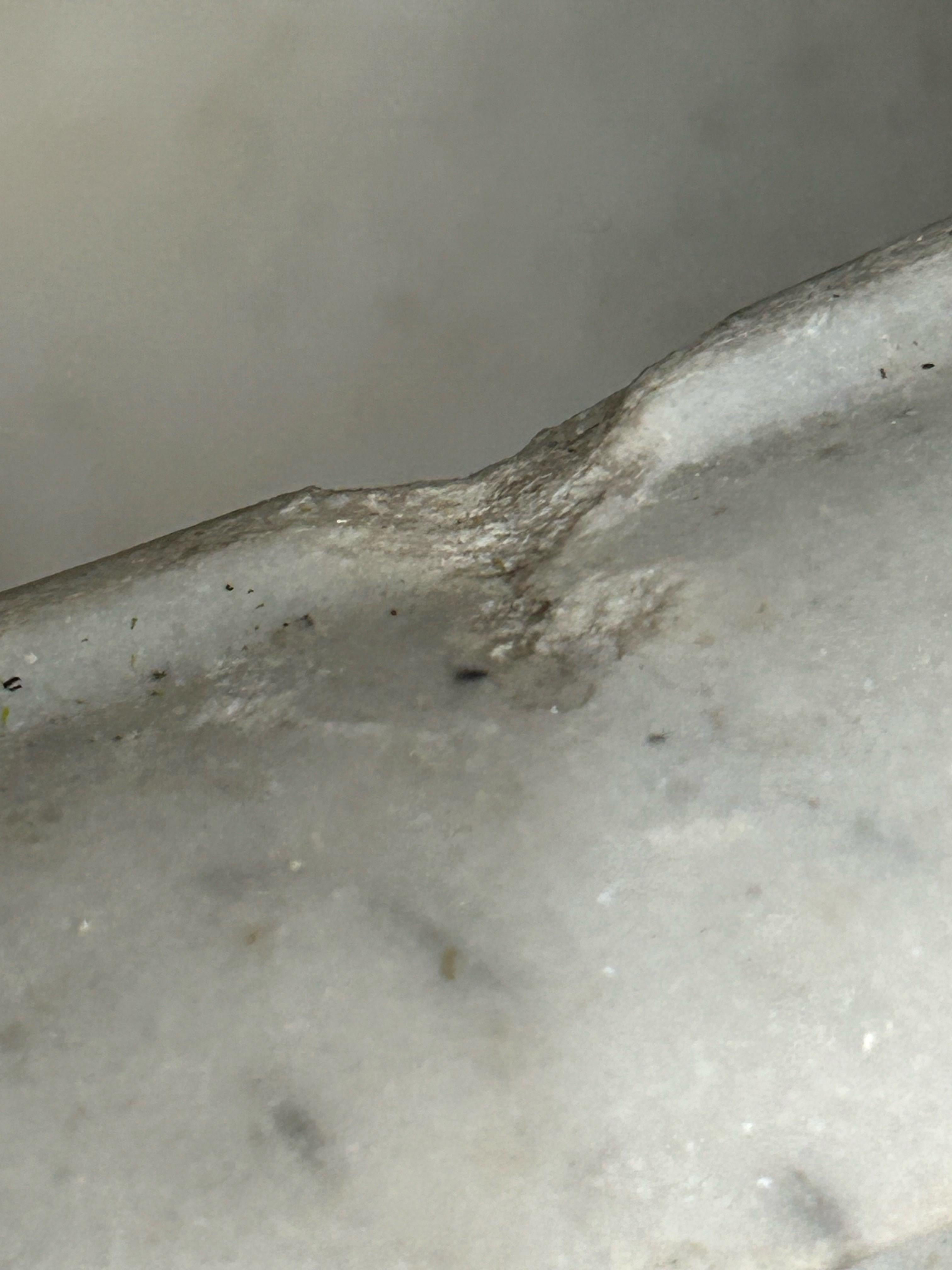 Urna neoclásica italiana de mármol tallado con blasón tallado en venta 6