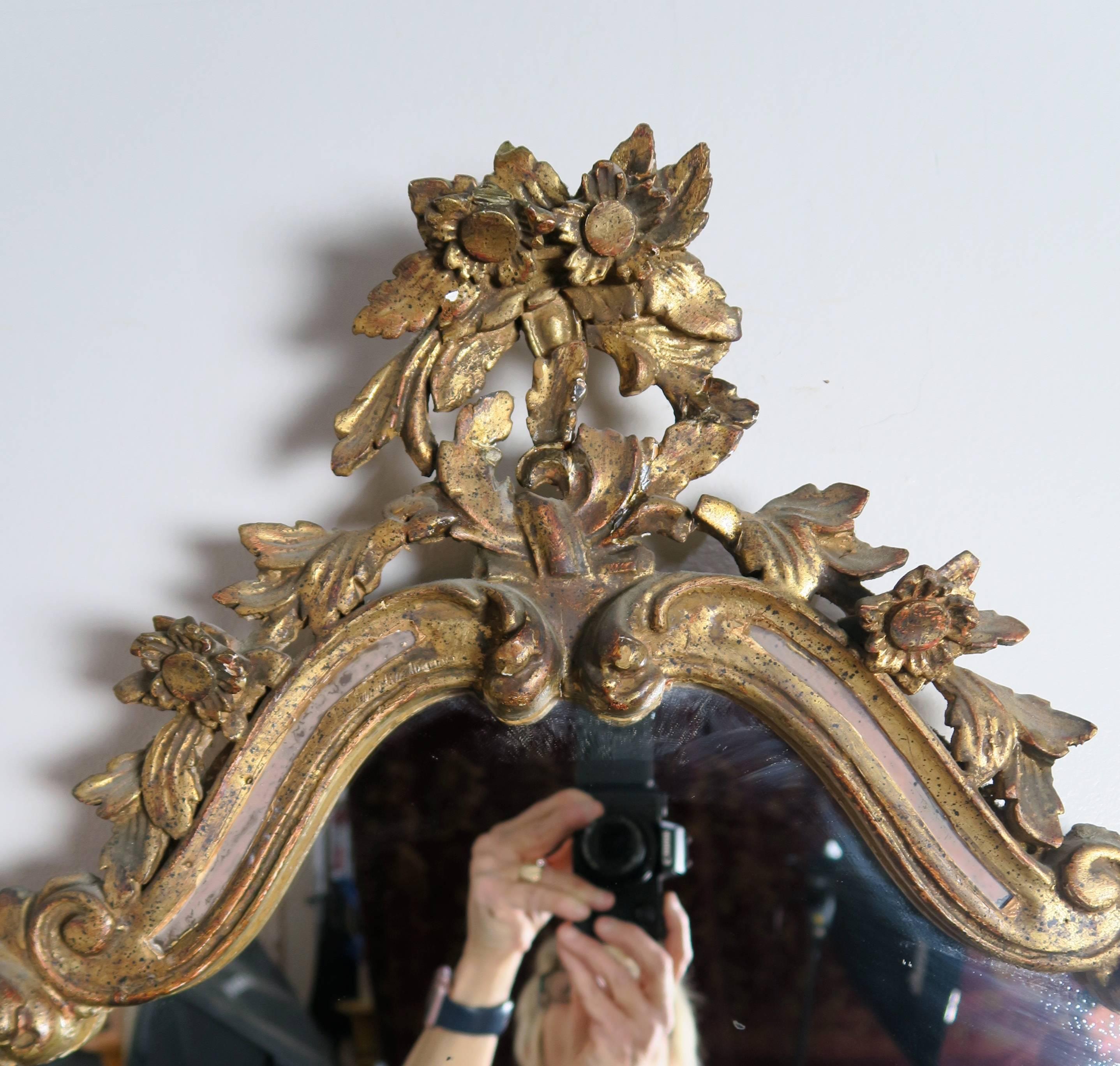 Italian Carved Rococo Style Giltwood Mirror 6