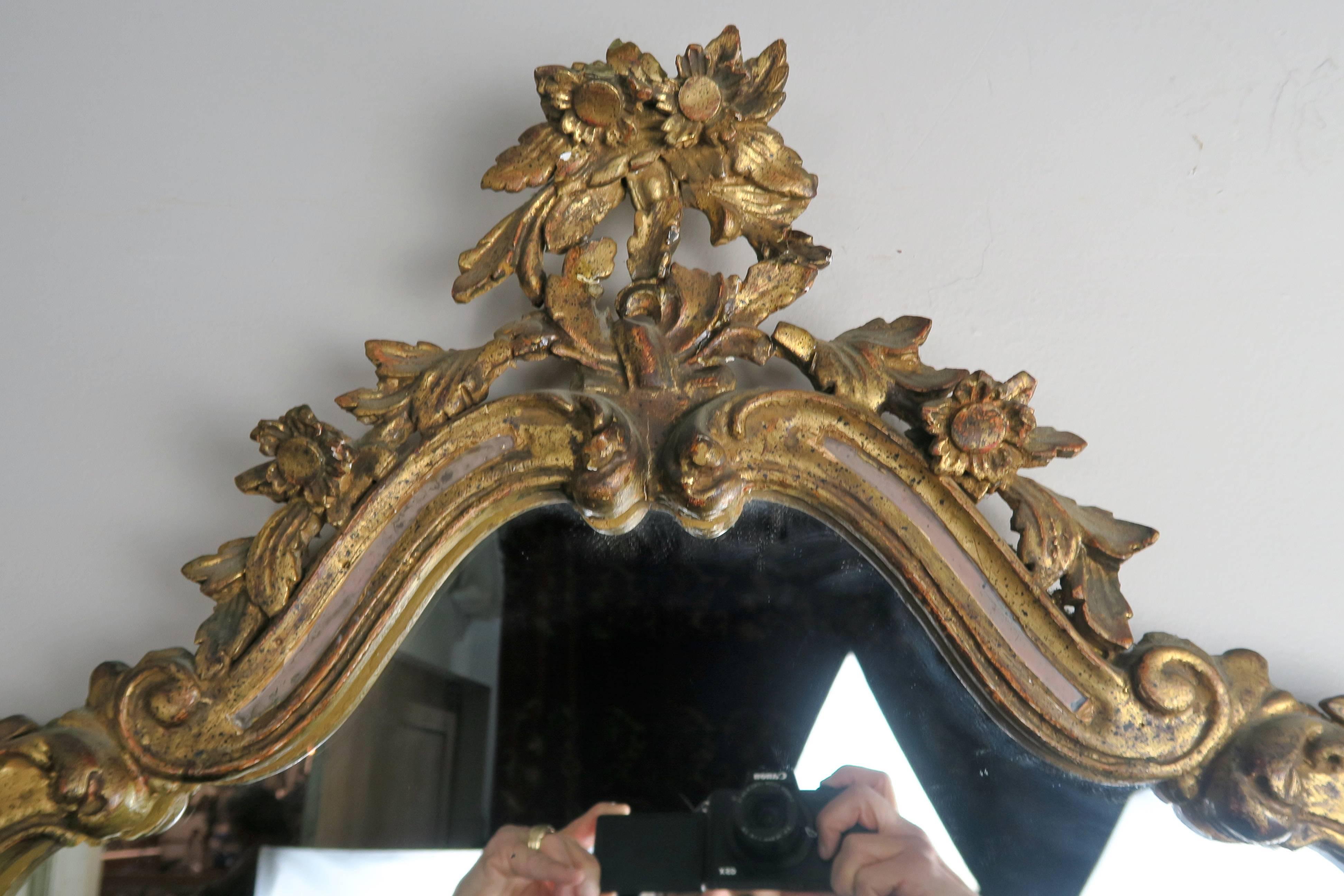 Italian Carved Rococo Style Giltwood Mirror 4