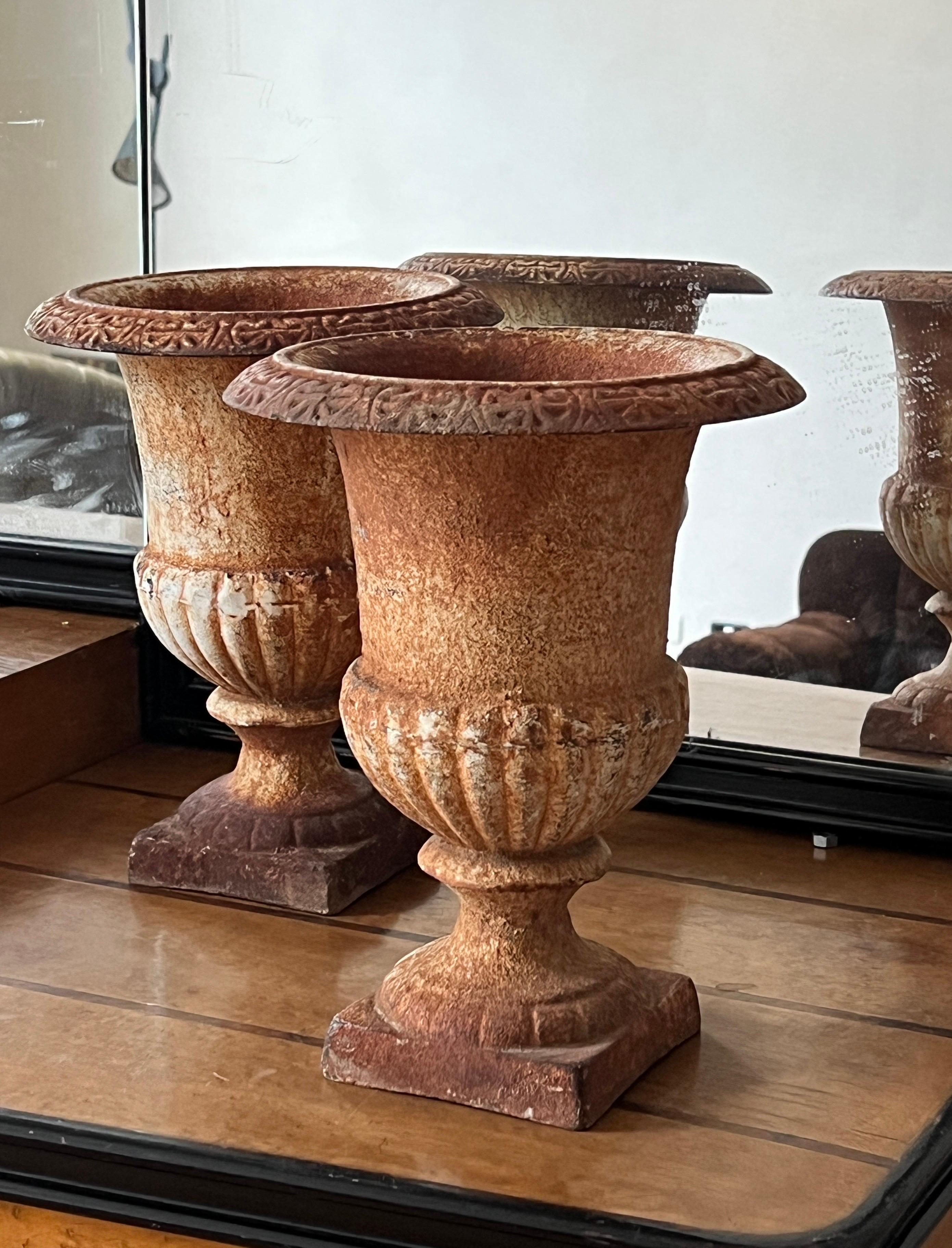 Urna de jardín italiana de hierro fundido con pátina original, principios del siglo XX en venta 5