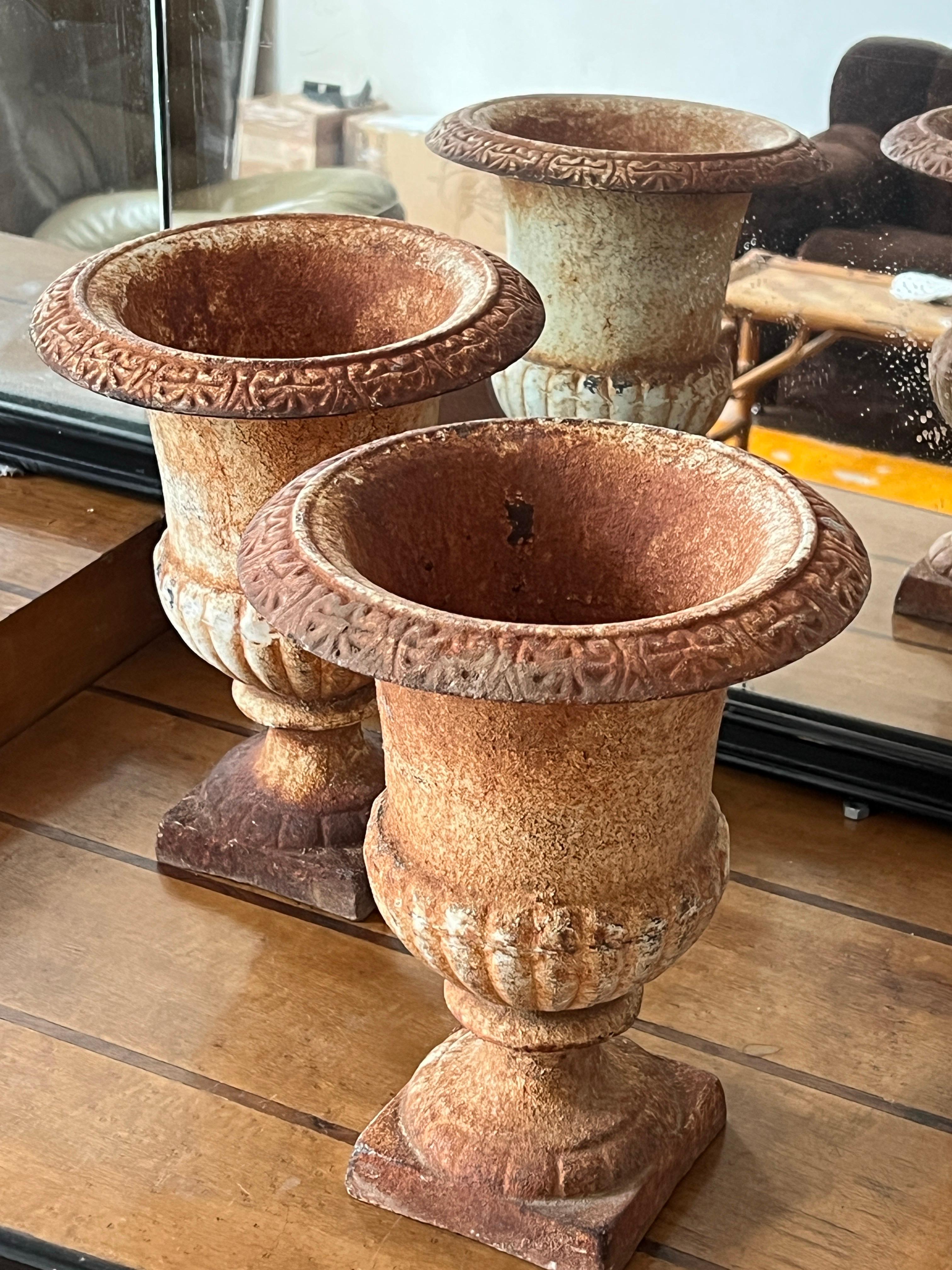 Urna de jardín italiana de hierro fundido con pátina original, principios del siglo XX en venta 7