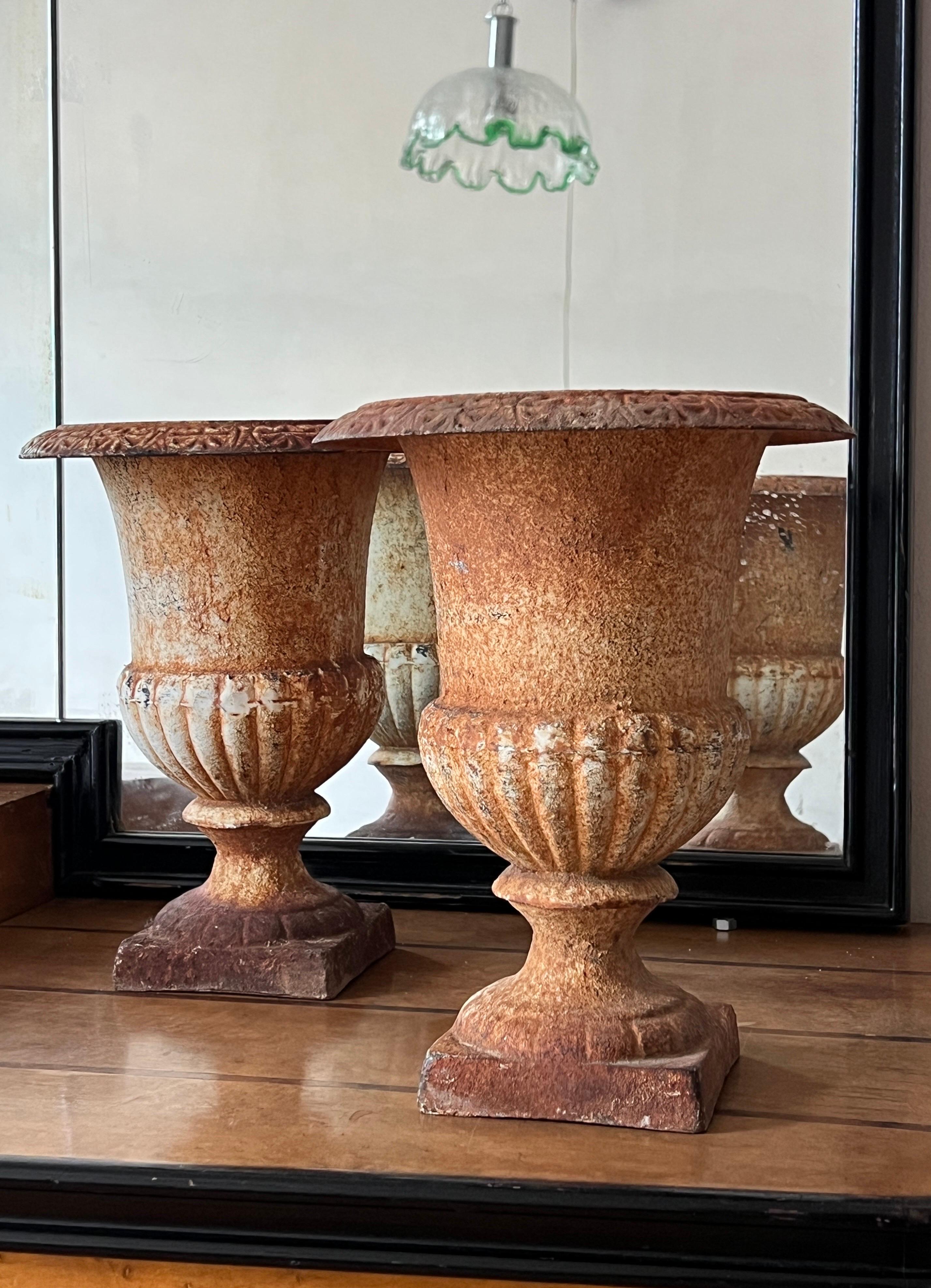 Urna de jardín italiana de hierro fundido con pátina original, principios del siglo XX en venta 1