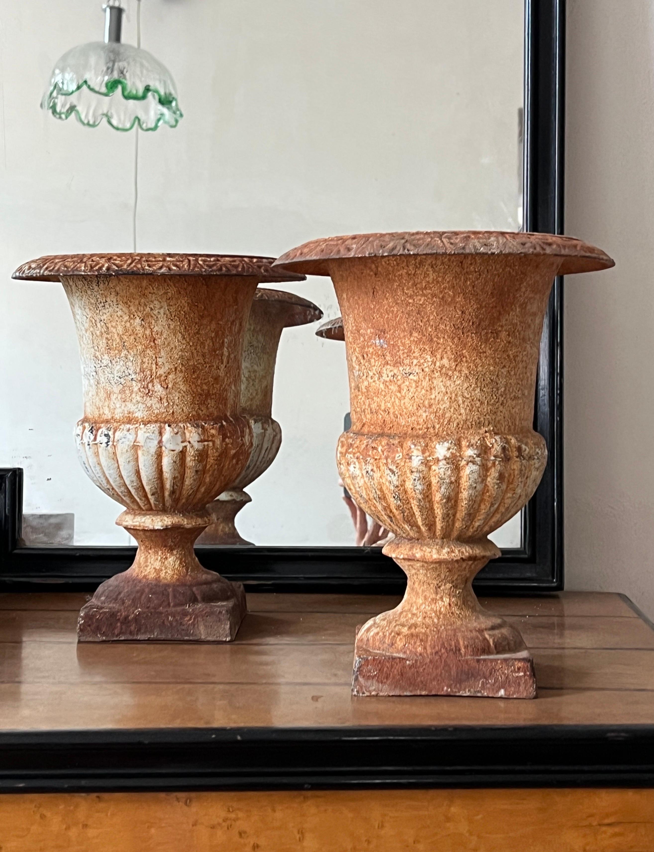 Urna de jardín italiana de hierro fundido con pátina original, principios del siglo XX en venta 2