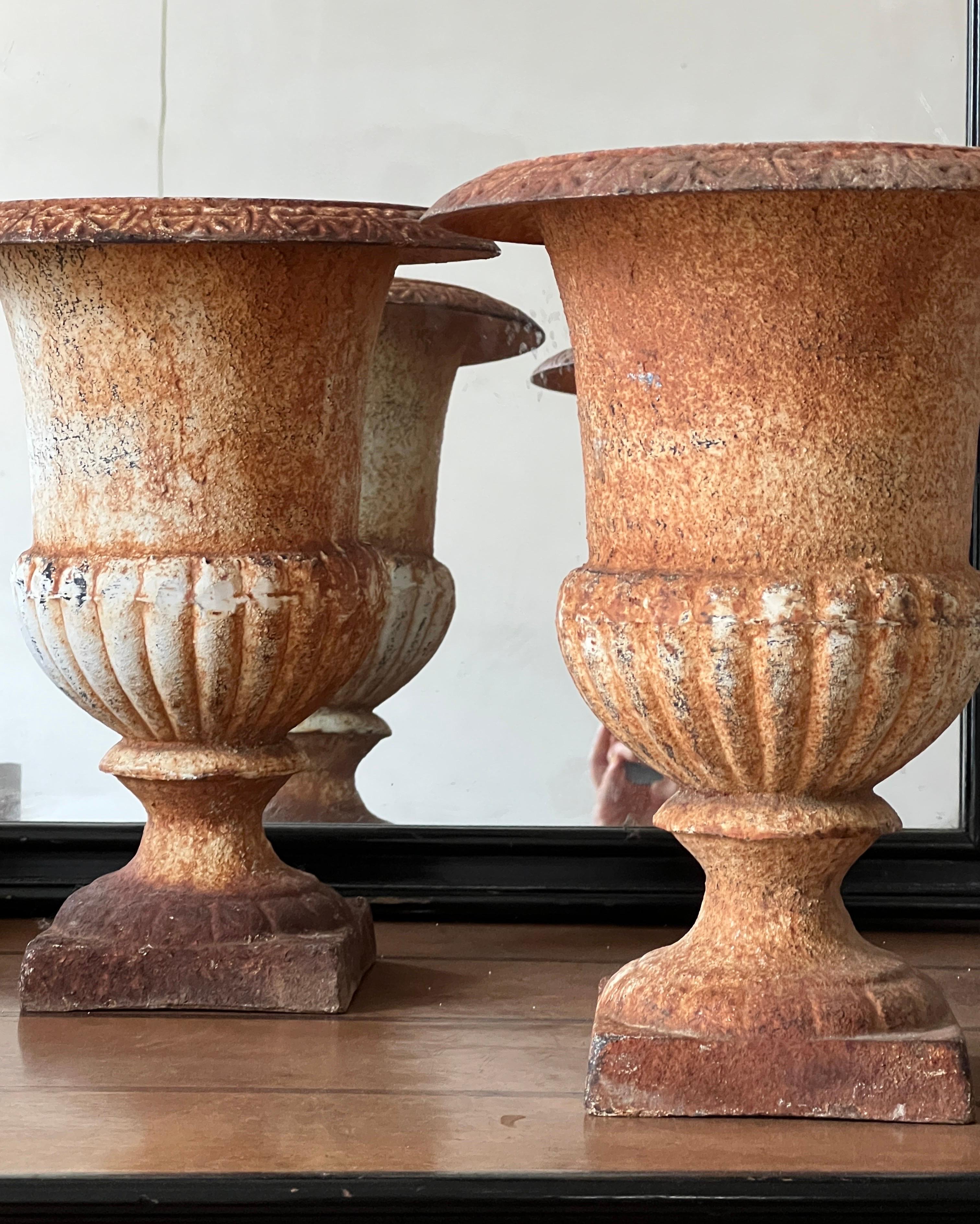 Urna de jardín italiana de hierro fundido con pátina original, principios del siglo XX en venta 3