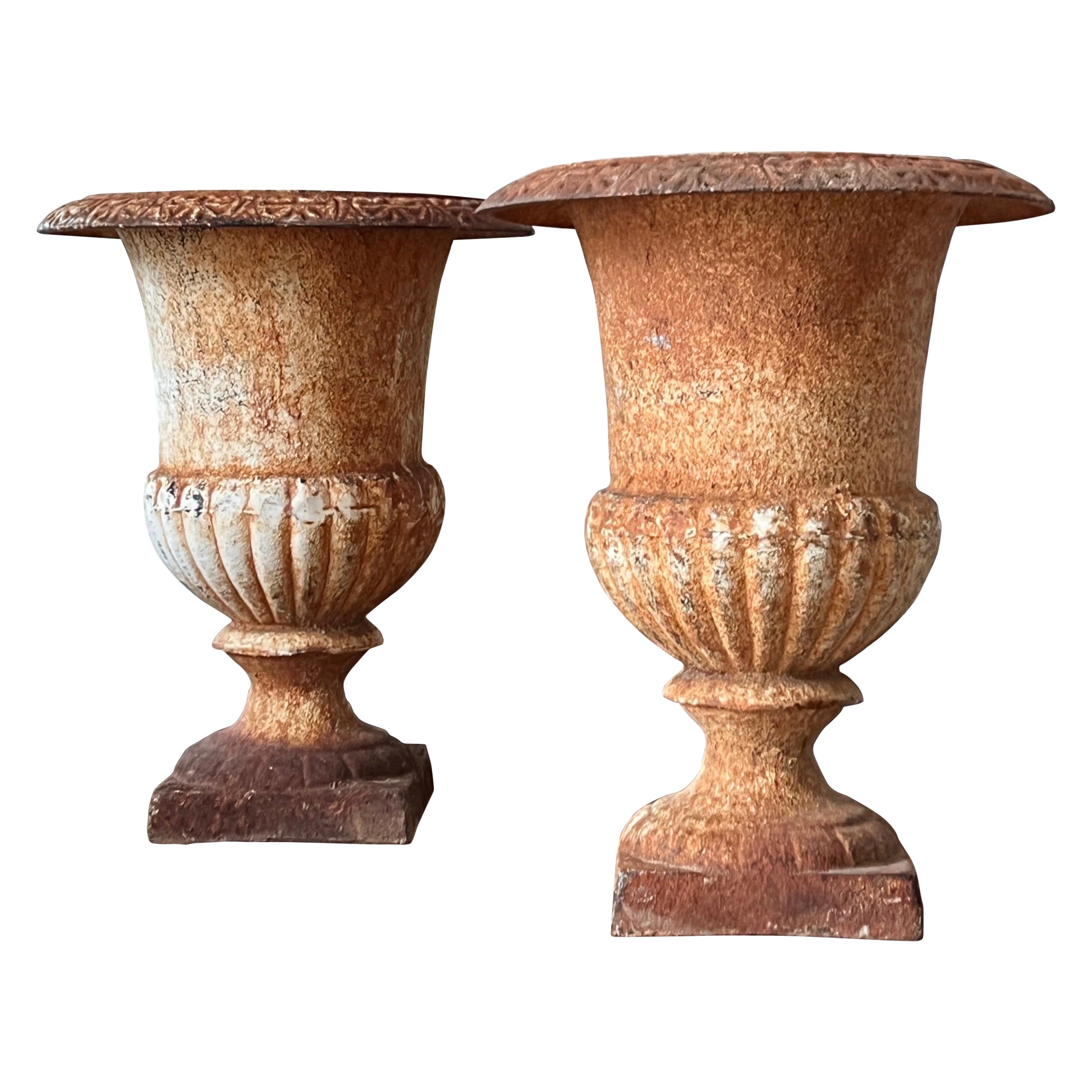 Urna de jardín italiana de hierro fundido con pátina original, principios del siglo XX en venta