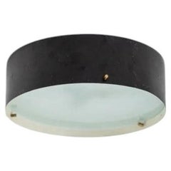 Italian Ceiling Lamp by Bruno Gatta for Stilnovo, Italy, 1960s