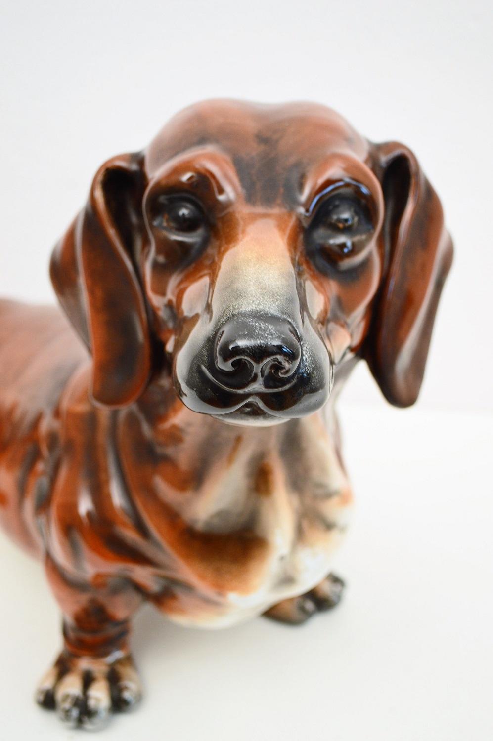 Gorgeous big dachshund in life-size made of ceramic by Ugo Zaccagnini Urbano, Italy, back in the 1960s.
This ceramic sculpture is painted in a way the dog seems real. Please see the last picture with a wine bottle in order to show the size of the