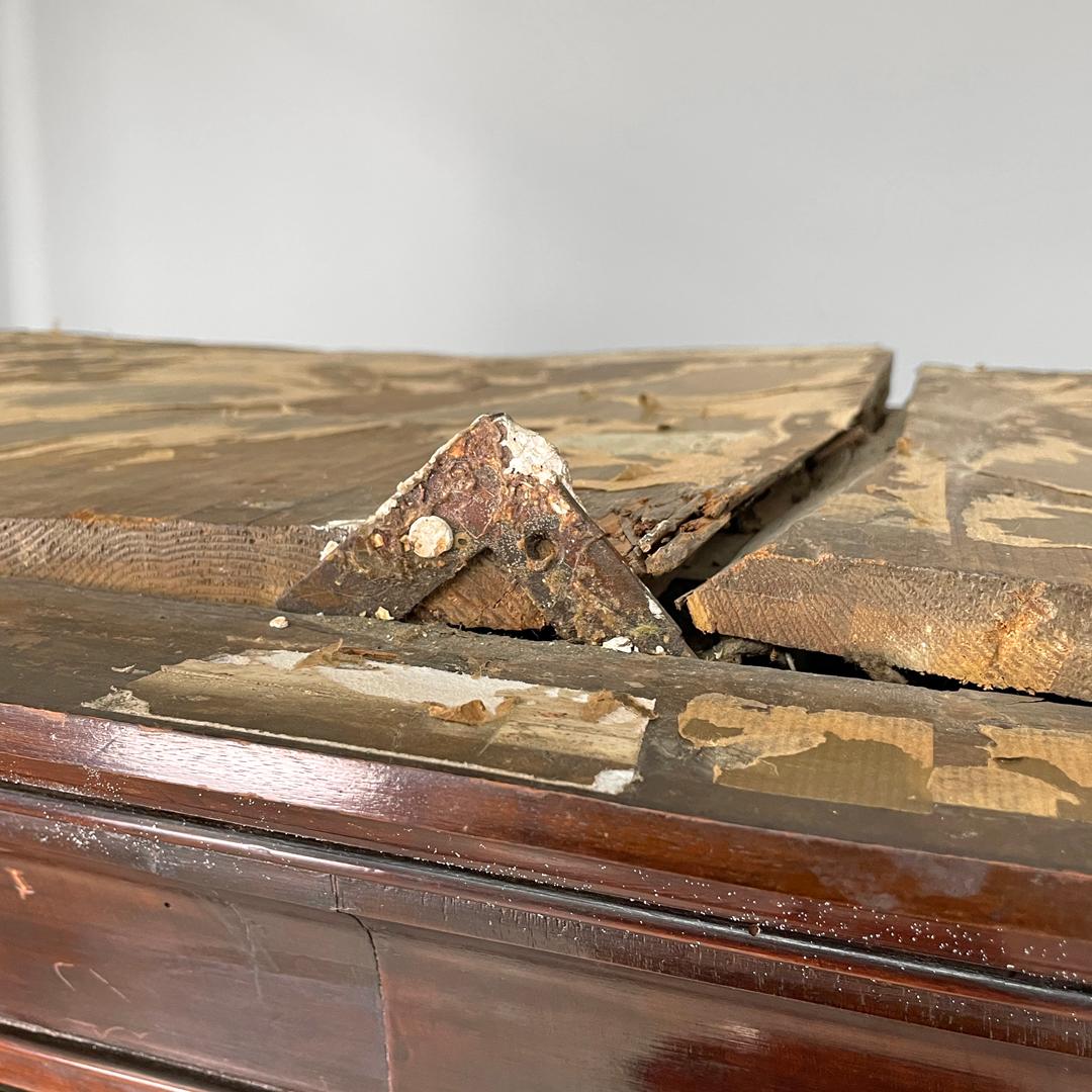 Italian Charles X style two-door wooden wardrobe with decorations, early 1800s For Sale 3