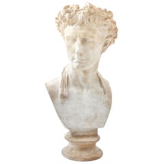 Italian Classical Plaster Bust of Augustus, circa 1950