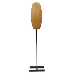 Italian Cocoon Floor Lamp with Black Metal Base from 1950s