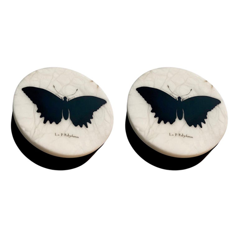 Élégante boîte en albâtre imprimée d'une décalcomanie représentant un décor naturel exotique avec un beau papillon, 