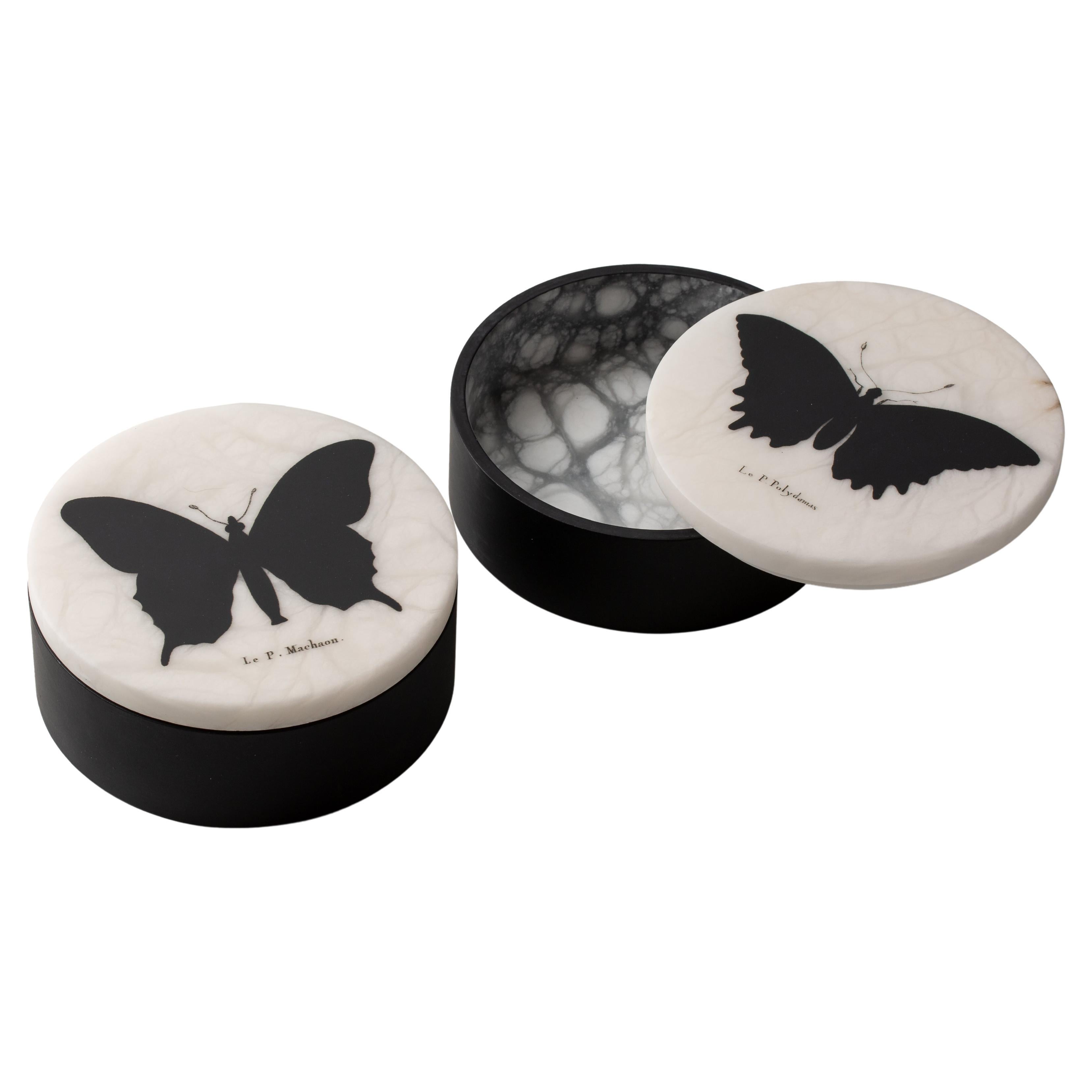 Zeitgenössische italienische Schachtel „Schwarz und Wild“ aus Alabaster mit Schmetterlingmuster - 1 von 2 (Italienisch) im Angebot