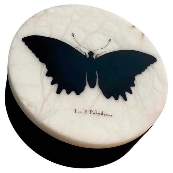 Boîte contemporaine italienne en albâtre papillon « Noir et sauvage » - 1 de 2