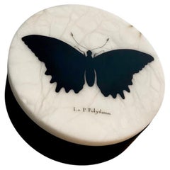 Italian Contemporary "Black and Wild" Butterfly Alabaster Box - 1 of 2