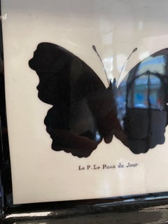 Plateau de poche en résine papillon de la collection "Black and Wild" de style contemporain italien