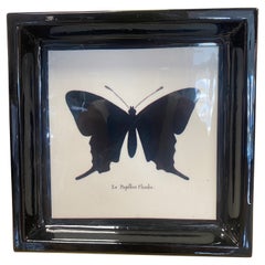 Vassoio tascabile in resina a forma di farfalla della collezione "Black and Wild".
