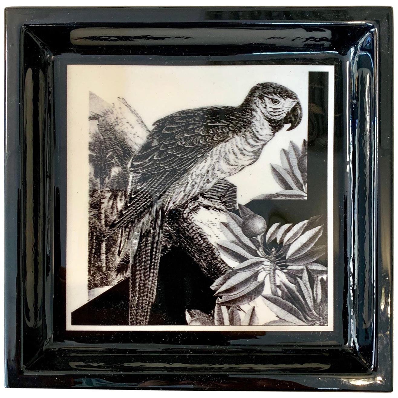 Italian Contemporary "Black and Wild" Collection Parrot Resin Pocket Tray
