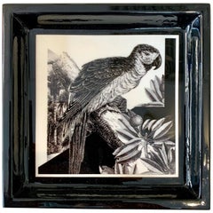 Vassoio tascabile in resina con pappagallo della collezione "Black and Wild".