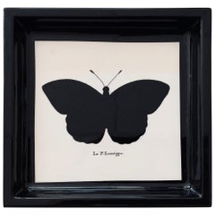 Collection italienne contemporaine "Noir et sauvage" Plateau de poche en résine papillon