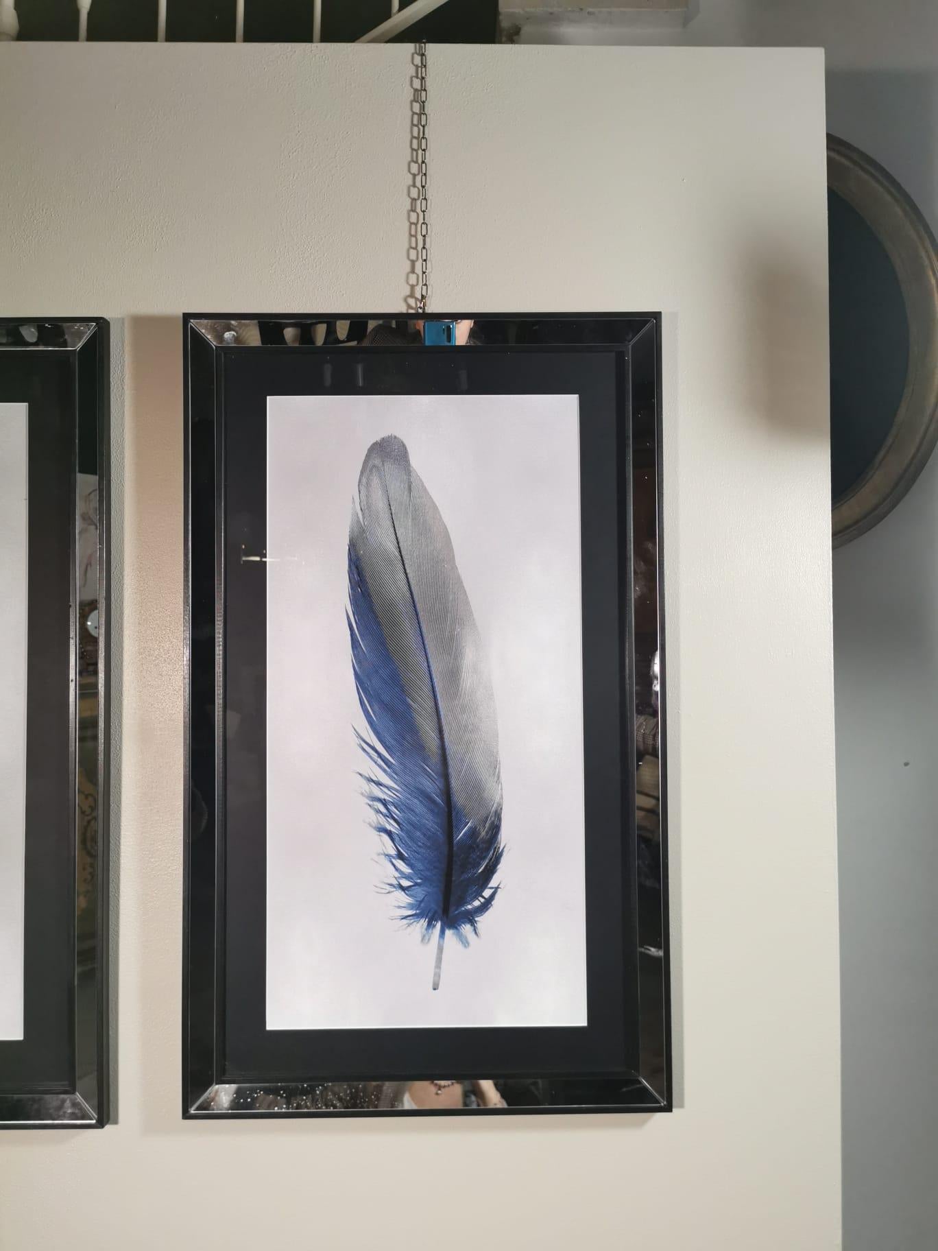 Italian Contemporary Blue Feather Print with Mirrored Frame Set of Two For Sale 4