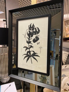 Impression botanique contemporaine italienne noire "Lilium Superbum" Miroir Cadre Wood