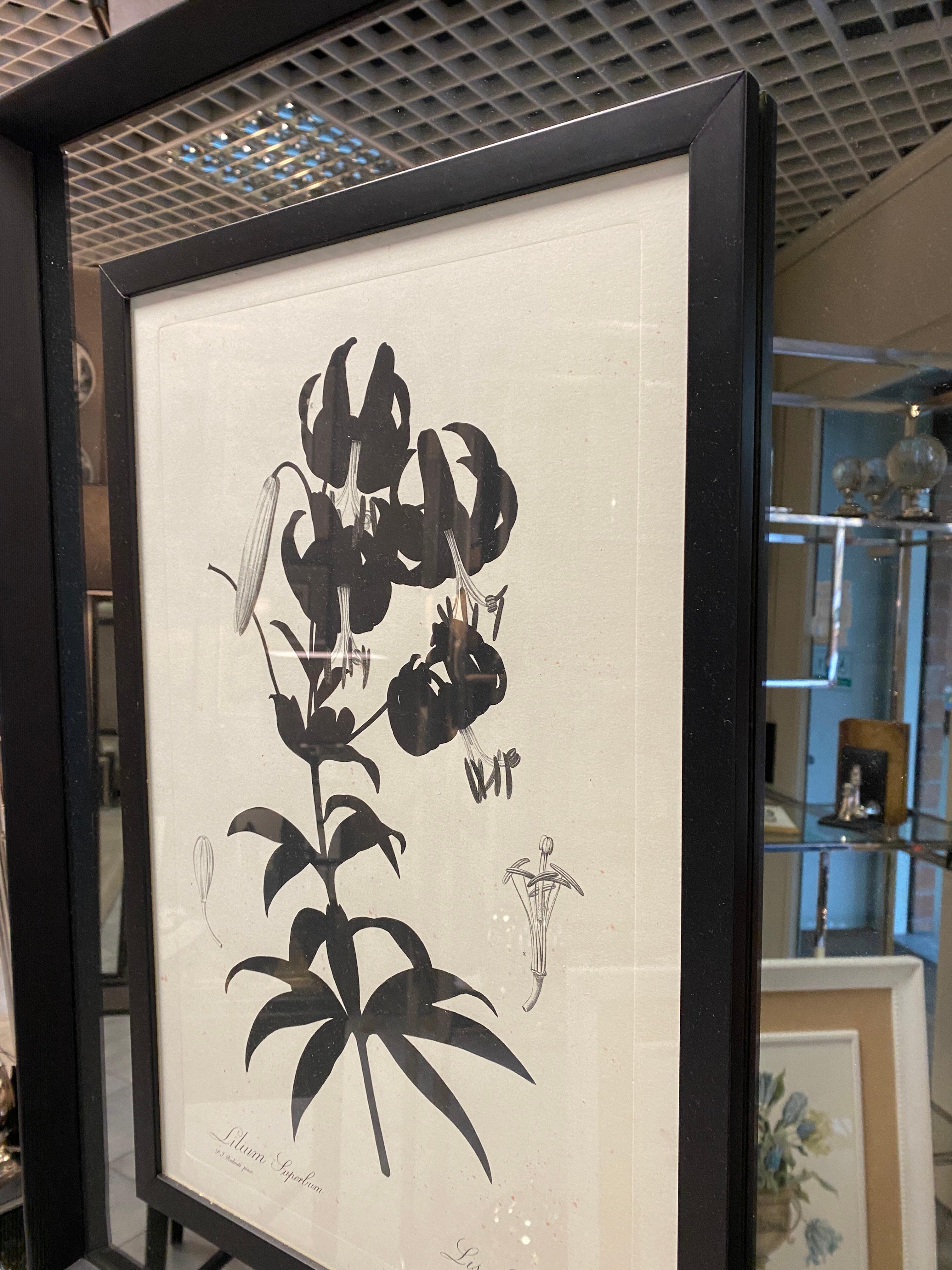 XXIe siècle et contemporain Impression botanique contemporaine italienne noire 
