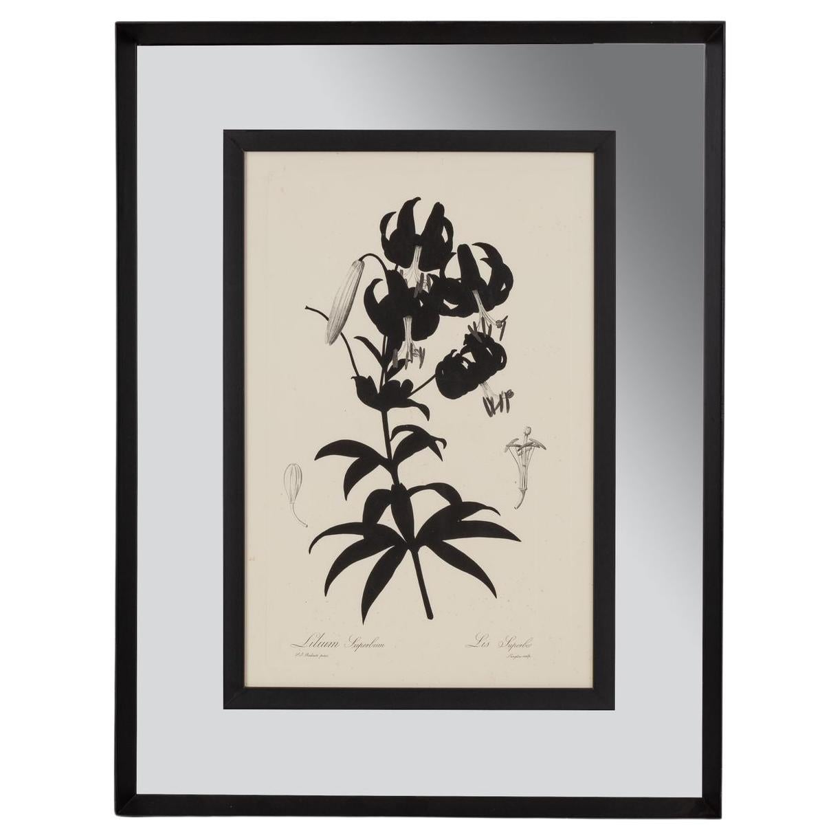 Impression botanique contemporaine italienne noire "Lilium Superbum" Miroir Cadre Wood