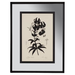 Impresión Botánica Contemporánea Italiana en Negro "Lilium Superbum" Espejo Marco de Madera
