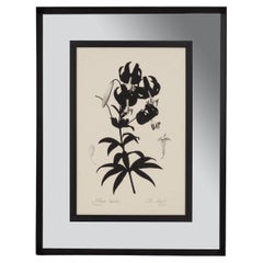 Italienisch Contemporary Botanical Black Print "Lilium Superbum" Spiegel Holzrahmen