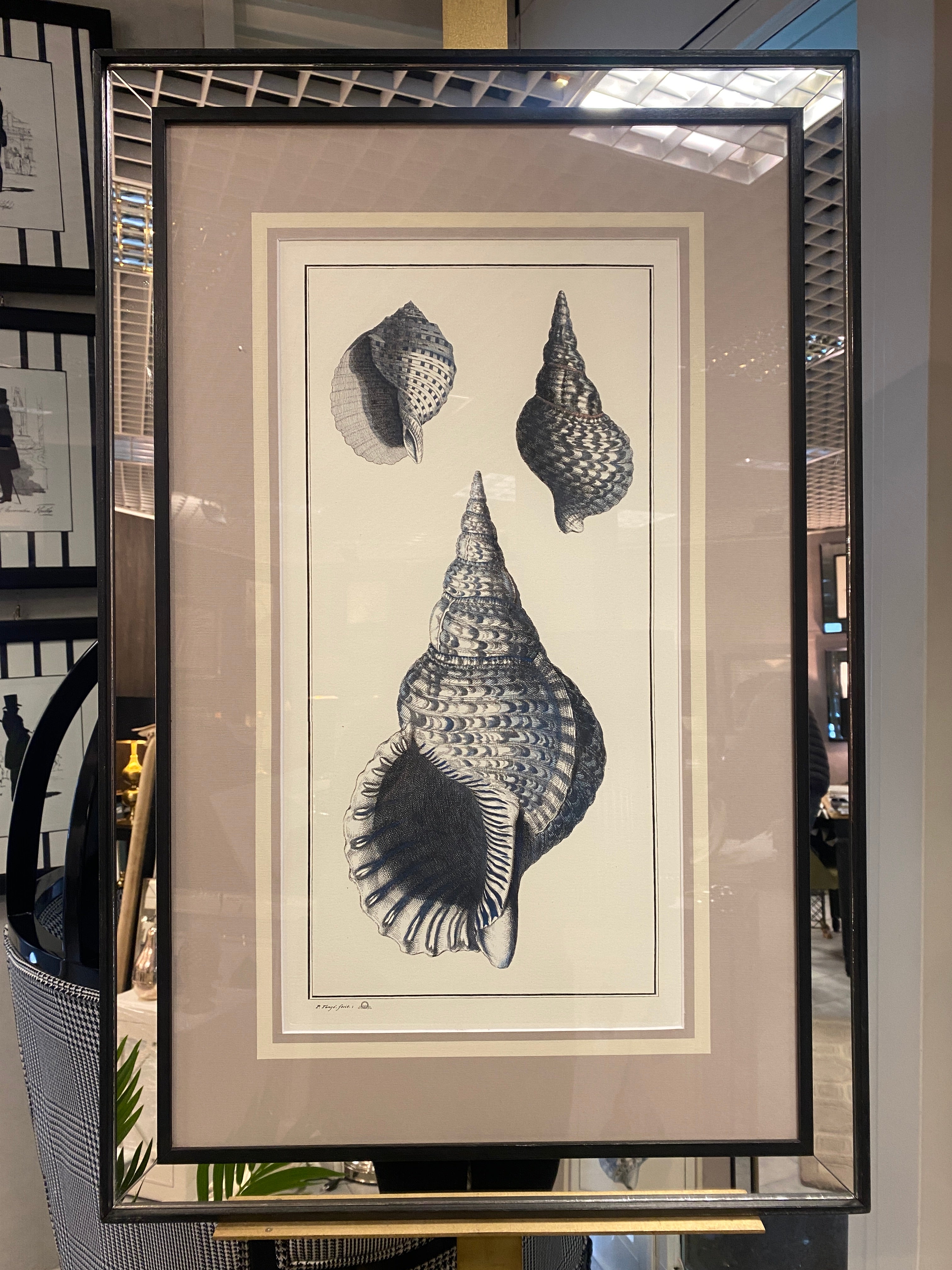 Elegant hand-watercoloured shell printed on aged paper and accompanied by a beautiful frame made of black mirrors and silver-painted wood.

This botanical style print is available in 2 different natural representations to create a bright and joyful