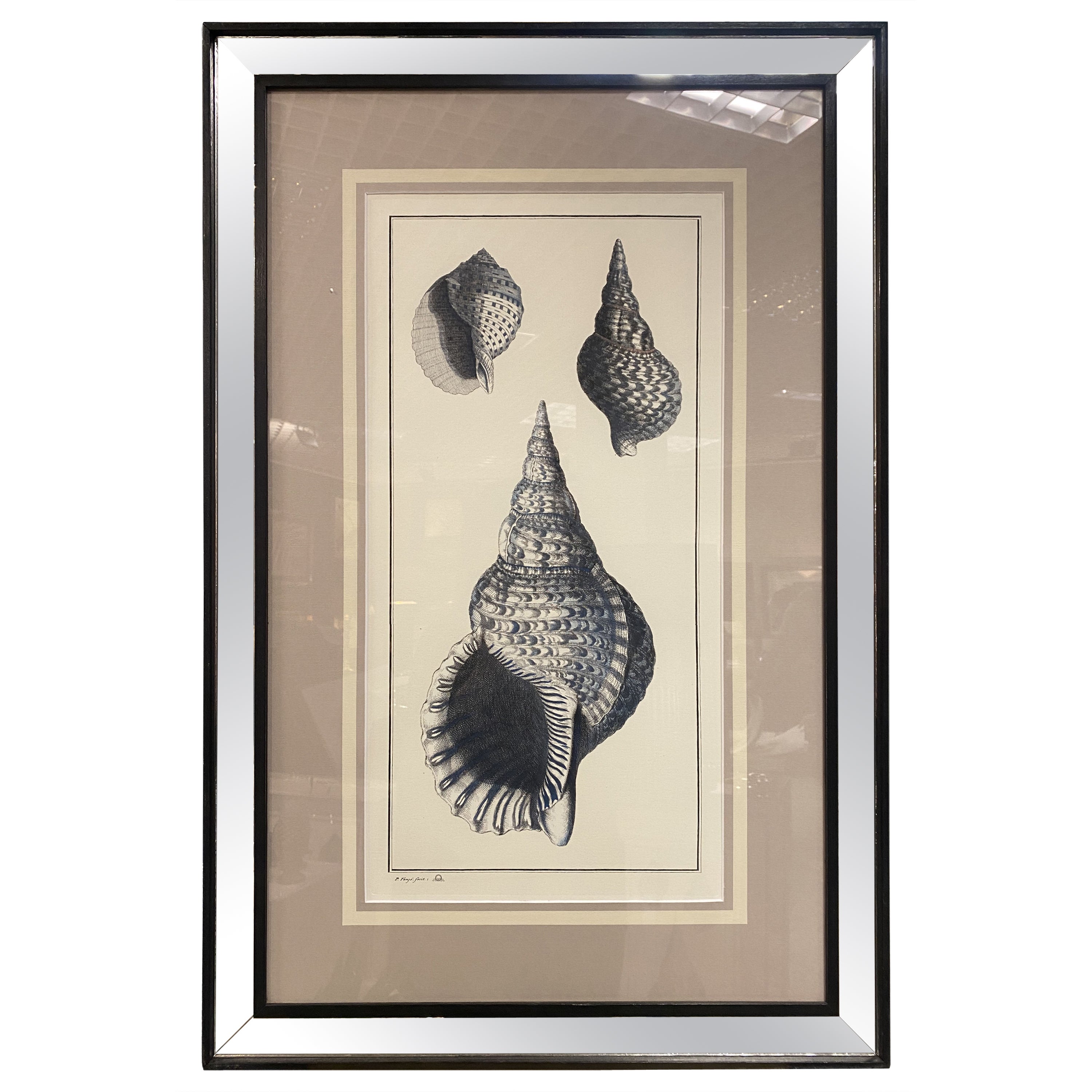 Italian Contemporary Botanical Black Print "Shell" Black Mirror Wood Frame