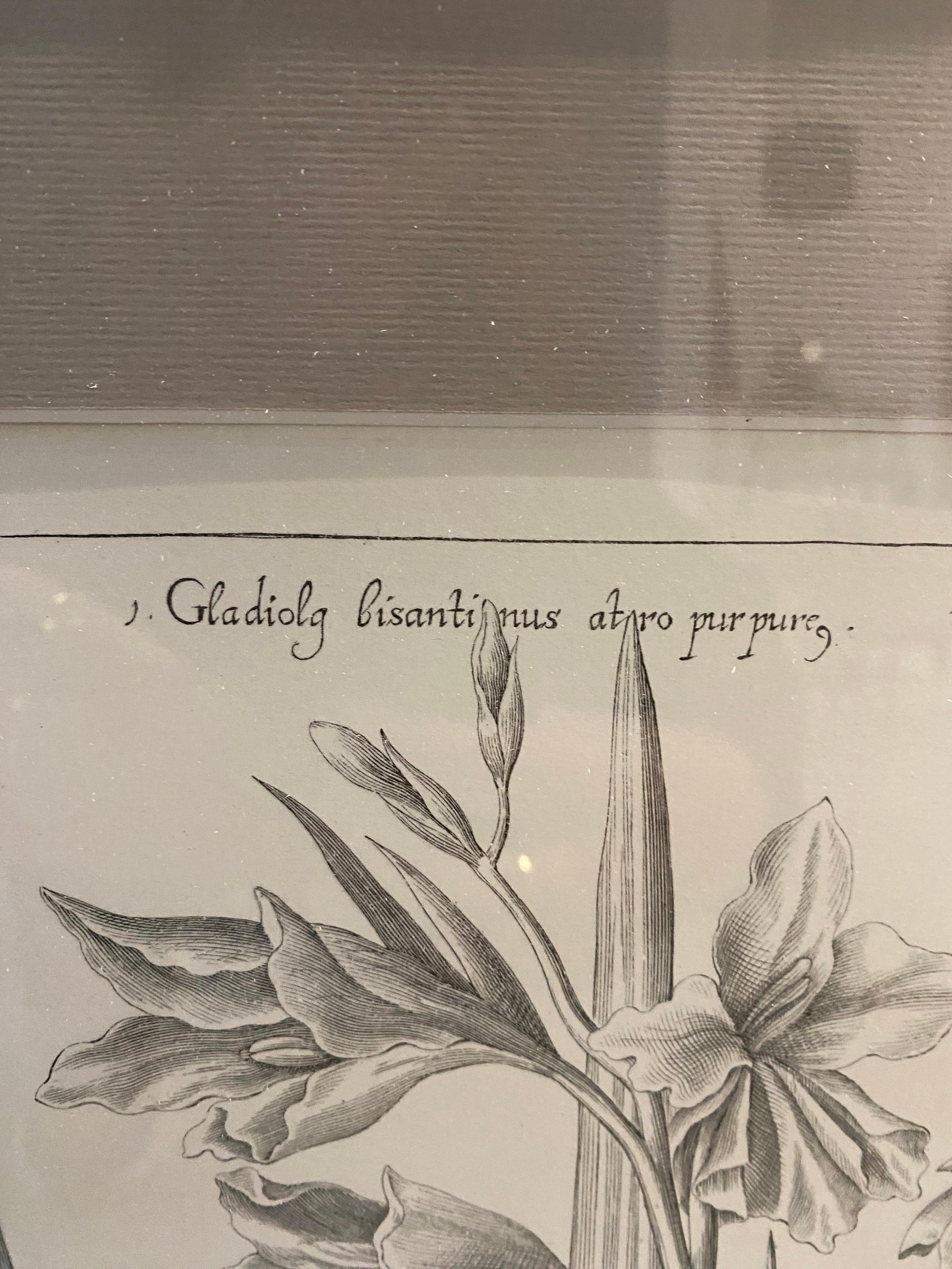 Italiano Stampa contemporanea italiana 