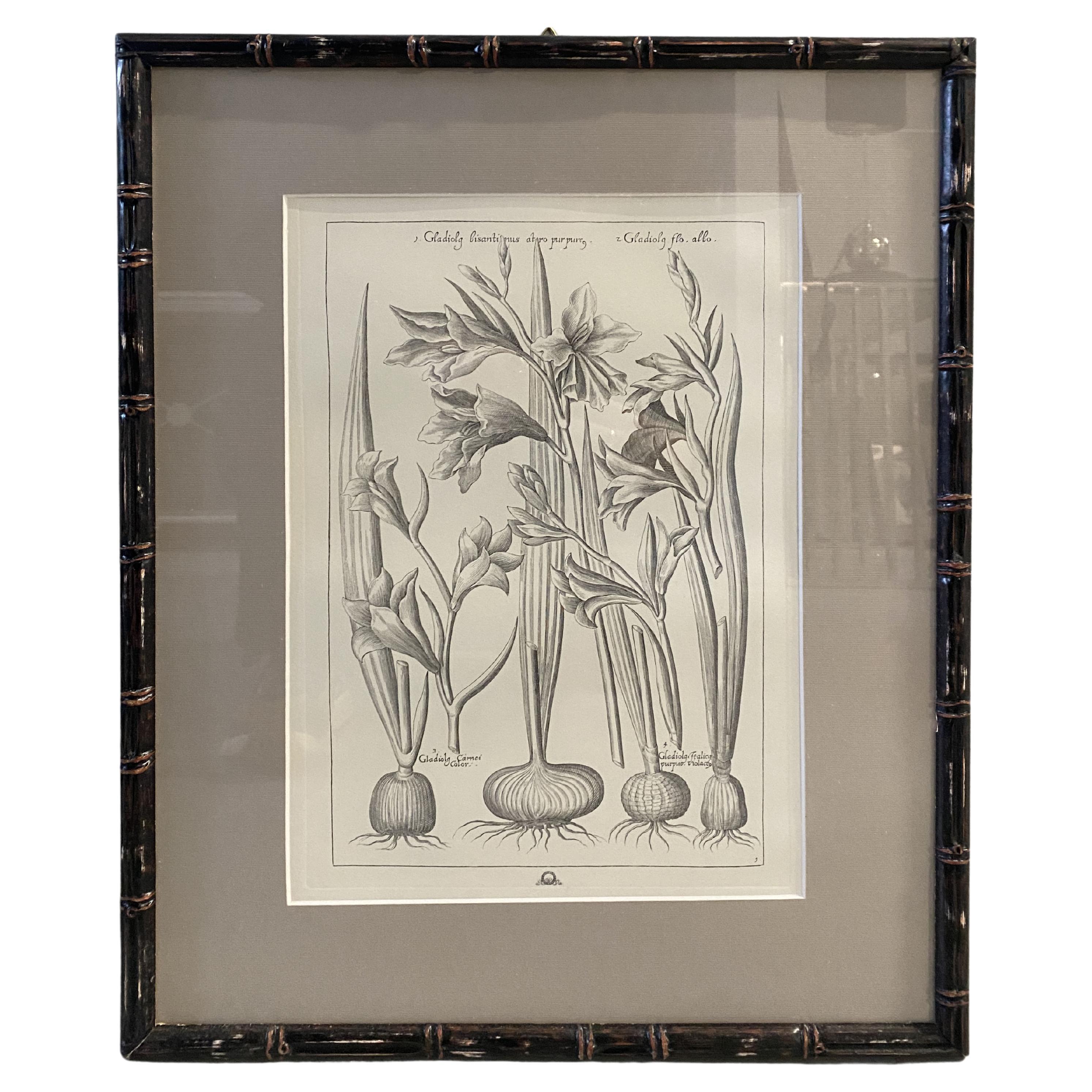 Italienischer Contemporary "Gladiolus" Schwarzer Druck mit schwarzem Wood Frame 1 von 2