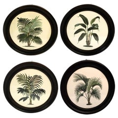 Italienische Contemporary Hand Colored 4 Druck mit runden schwarzen handgefertigten Holzrahmen