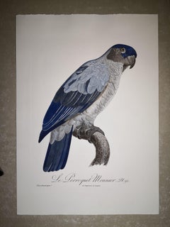 Italian Contemporary Hand Colored Print from the Collection "Le Parroquet"