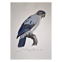 Italienischer zeitgenössischer handkolorierter italienischer Druck aus der Kollektion „Le Parroquet“