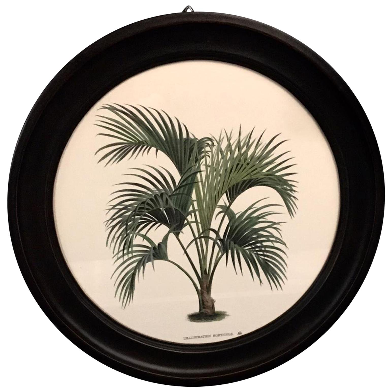 Italian Contemporary Hand Colored Palm Print with Round Wooden Frame 2 of 2 For Sale